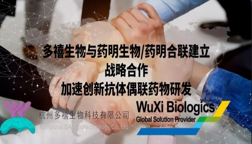 多禧生物與藥明生物/藥明合聯(lián)建立戰(zhàn)略合作加速創(chuàng)新抗體偶聯(lián)藥物研發(fā)